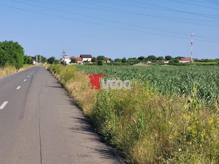 Teren industrial Cerneteaz