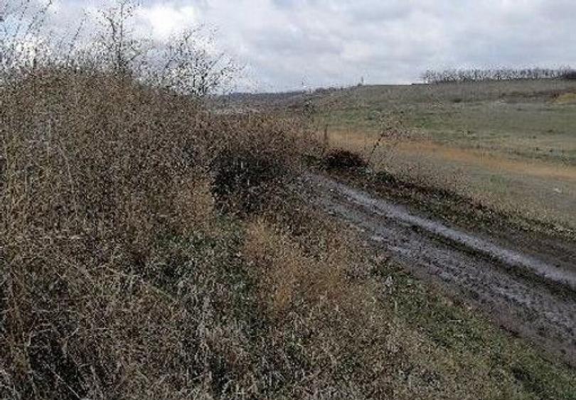 Teren extravilan Tiganasi, cota parte 1/5, ID: R2822453 - 1