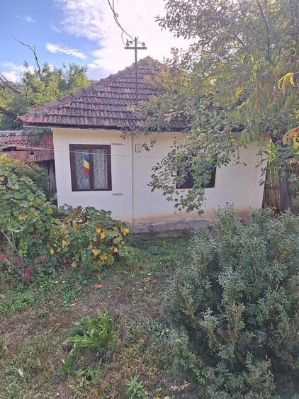 Casa de vanzare - 4