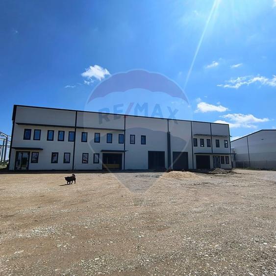 Spatiu industrial Balotesti - Tunari - Aeroport Otopeni - 20