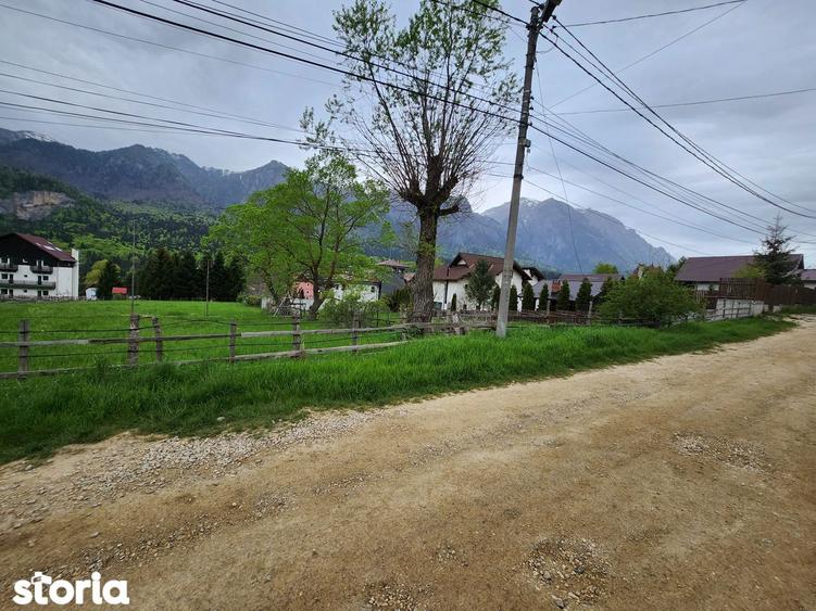 Teren situat in Busteni-Poiana Tapului in suprafata 2.675 mp ! - 2