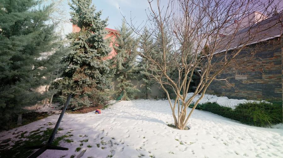 Vila Premium Damaroaia | Str. Garofitei - 19