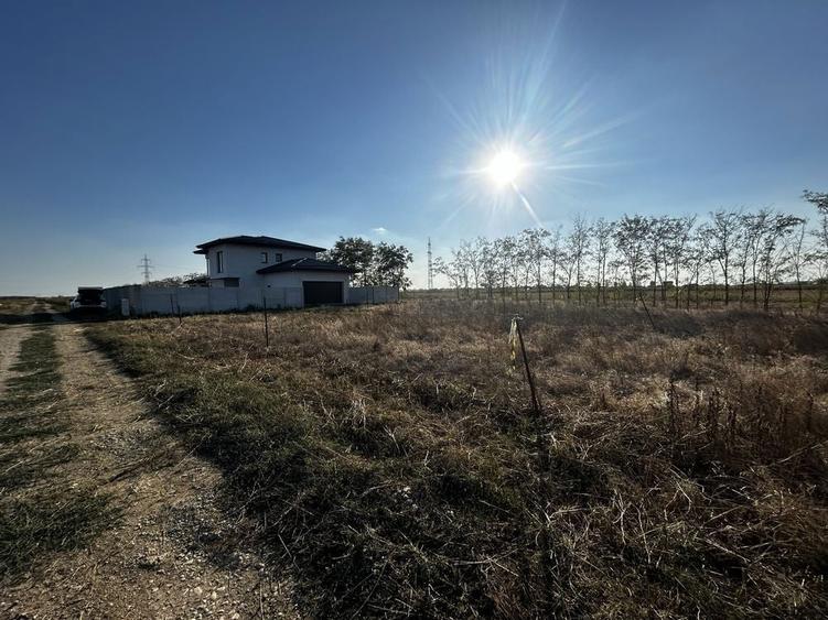 Teren intravilan Berceni - Vidra / curent si gaze la poarta - 2