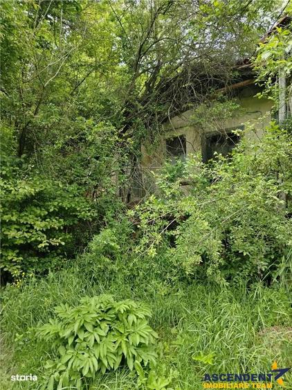 Domeniu verde autentic, +5.000mp, front la DJ, Valcele, Brasov -- Cov - 5