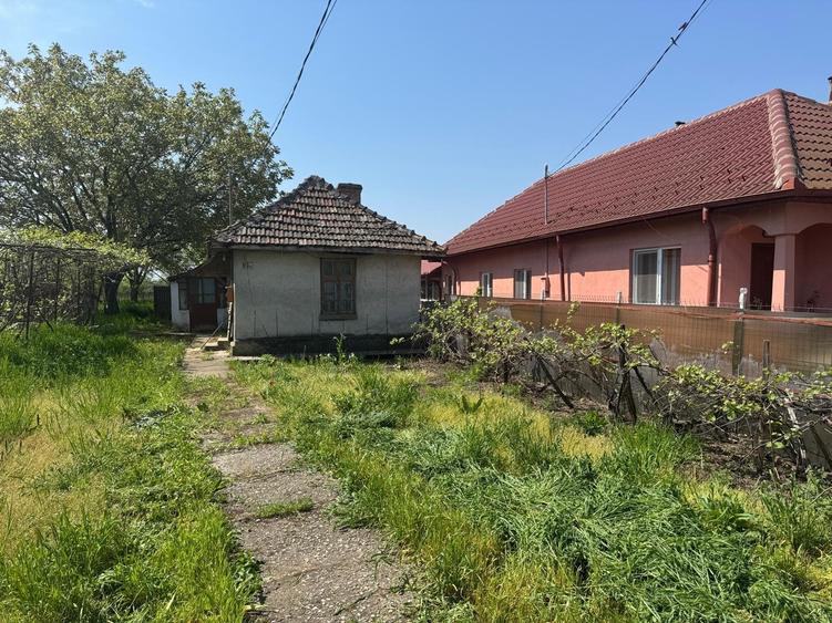 Casa veche si teren generos Bailesti - 3