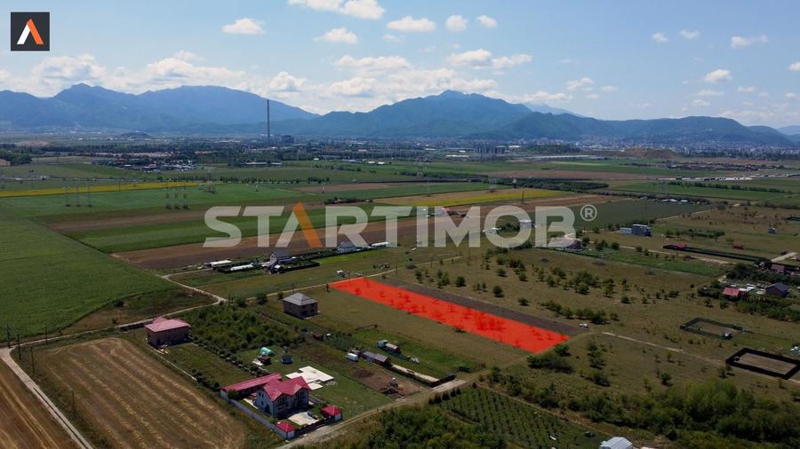 Teren intravilan Livada Sanpetru - 6