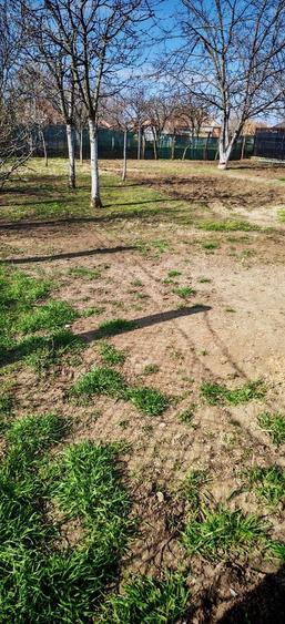 Casa renovata complet, 3 dormitoare, 780 mp teren zona excelenta Pec - 5