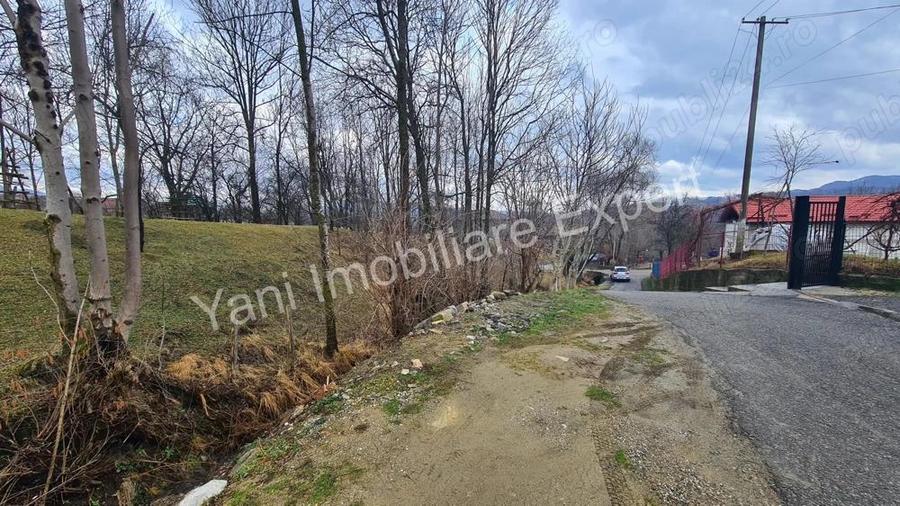 Teren de vanzare in comuna Arefu, jude? Arge?. - 2
