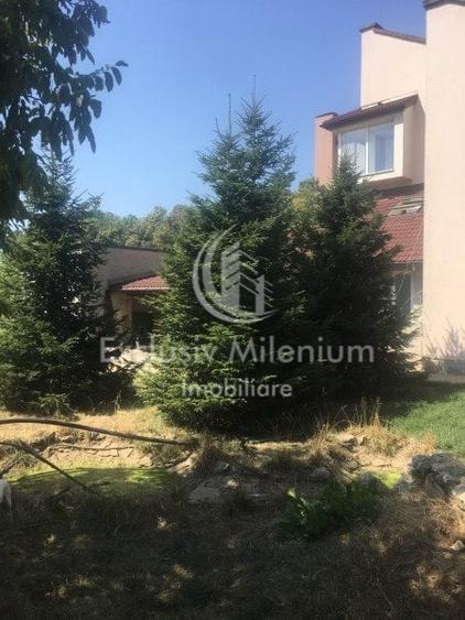 Casa la Padurea Rosu 650 Mp + Teren ideal Activitati Comerciale/Birouri - 9