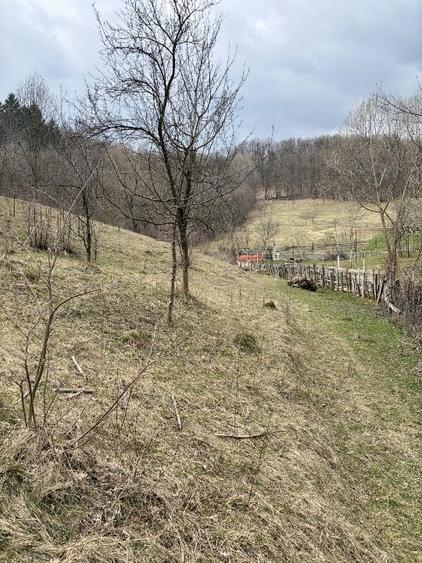 Teren Salatrucel Valcea intravilan cu curent 380V 3300mp+4200 faneata si padure - 7