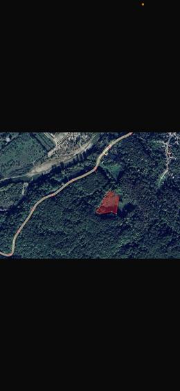 Teren 8.329 mp Magura (Ciuta), jud. Buzau extravilan - 6
