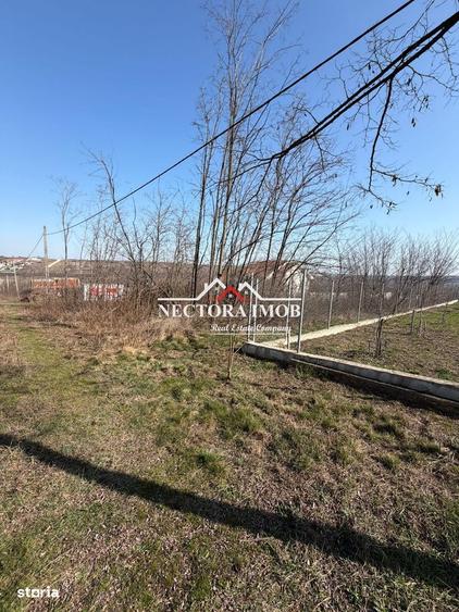 NECTORA IMOB-Teren Intravilan Lac Paleu, 886 mp, Front 27 ml,Utilitati - 3