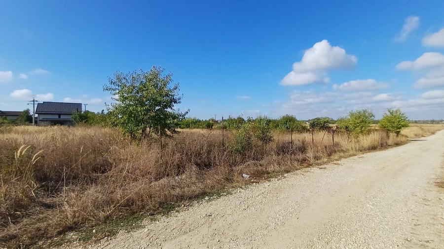 Teren Izvorani -Padure -COR - 10