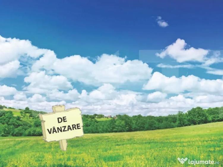 Teren 2.722 mp Mo?ni?a Noua ?osea Principala - 2