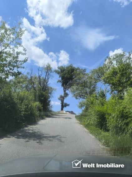 Casa de vacanta, cu lac, 5640 mp teren, Huta, com. Chiuiesti, jud. Cluj - 12