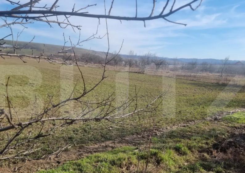 TEREN EXTRAVILAN AGRICOL - 1