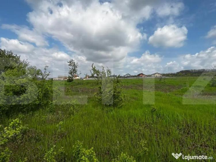 Teren intravilan 990 mp, front 33 ml, zona platou Carcea - 2