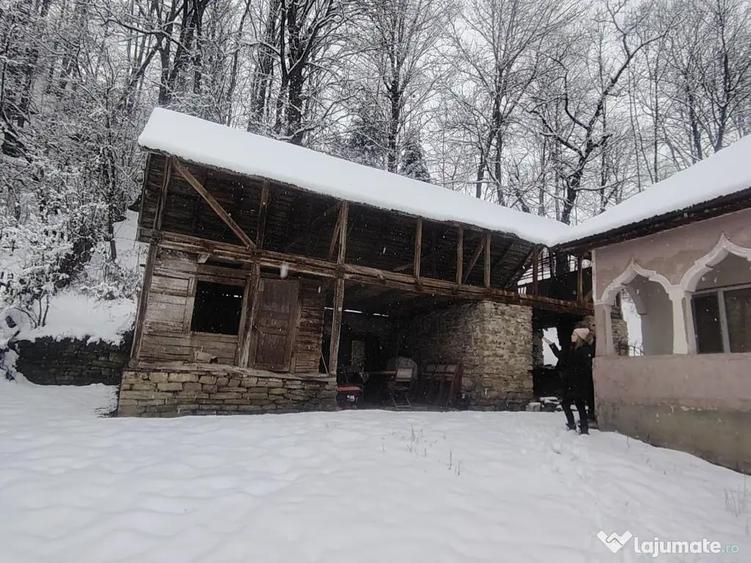 Casa boiereasca Urseiu - 7