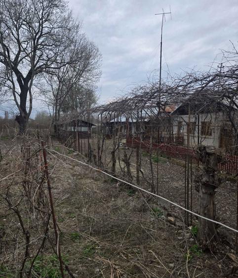 Teren intravilan de vanzare 2700 mp ideal investitie sau constructie - 6