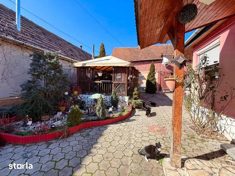 Casa single + 1200mp teren - Sura Mare - 3