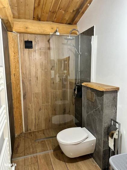 Complex K Tribute piscina, bar, business la cheie Podu Oltului - 10