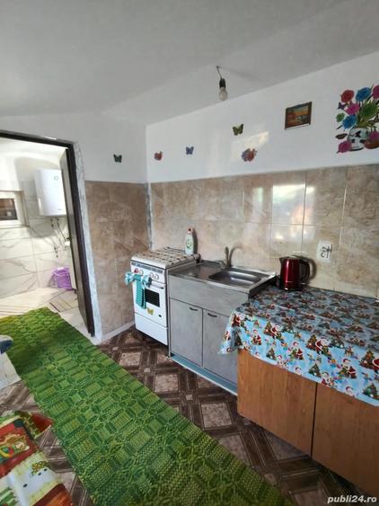 casa de vinzare - 9