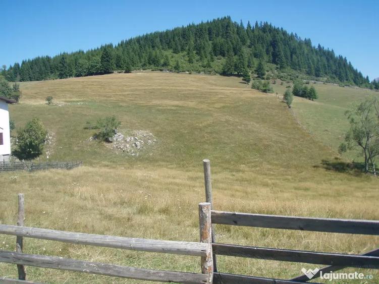 Vand teren intravilan Fundata 5200mp - 1