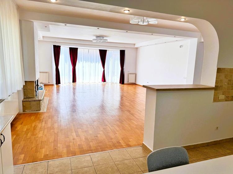 Vila cu piscina Iancu Nicolae - 3