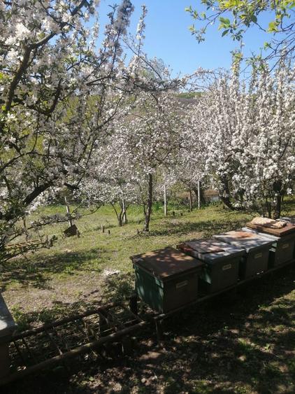 Casa de vanzare. - 8