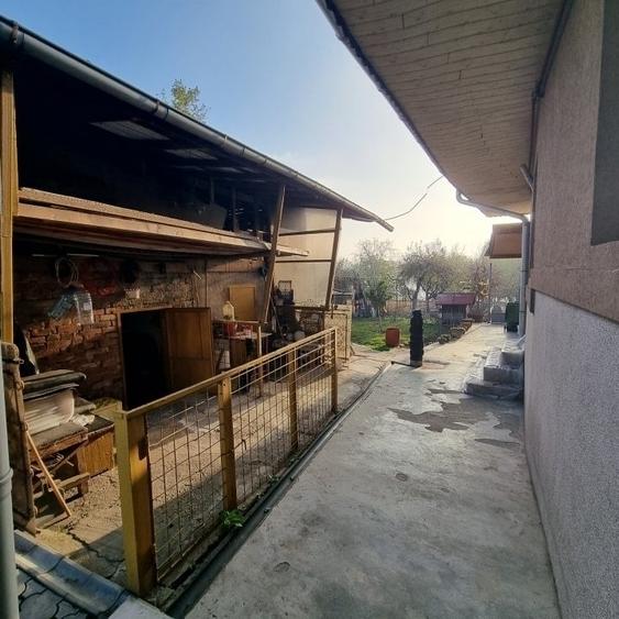 Pipera | Gradina | Iesire la lac | Terasa - 25