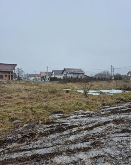 Seini, str. Tineretului, 60 ari teren - 2