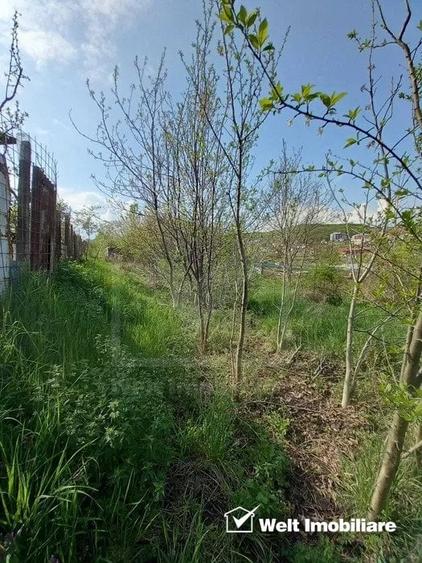 Teren 500mp strada Frunzisului - 8