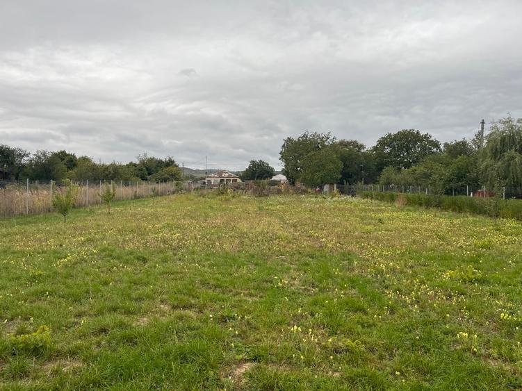 Teren intravilan negociabil pe Strada Principală Faraoanele | asfalt + utilități - 8