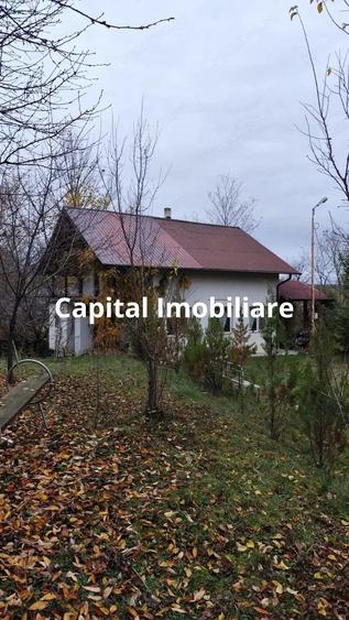 Casa Baicoi 95 mp Sc, 2578 mp teren - 1