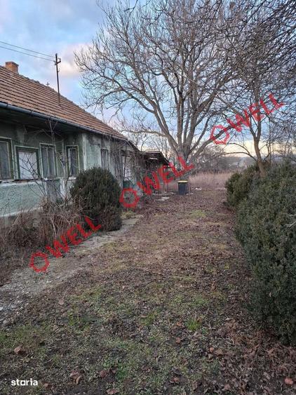 Teren intravilan de vanzare in Ruseni (Targu Secuiesc)! - 4