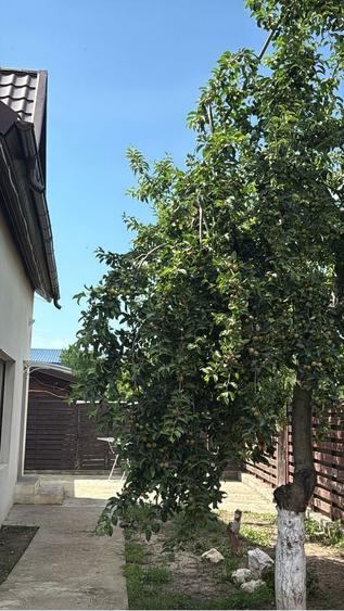 Inchiriez casa in oras Voluntari-Metro - 3