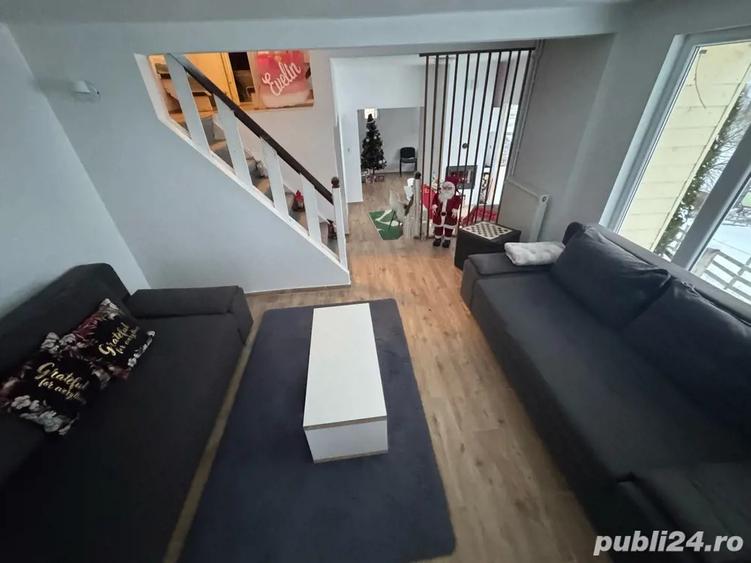 Vand vila cabana in Muntele Baisorii - 2