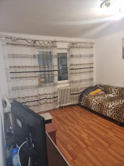 Vadul Nou, Profi - 5