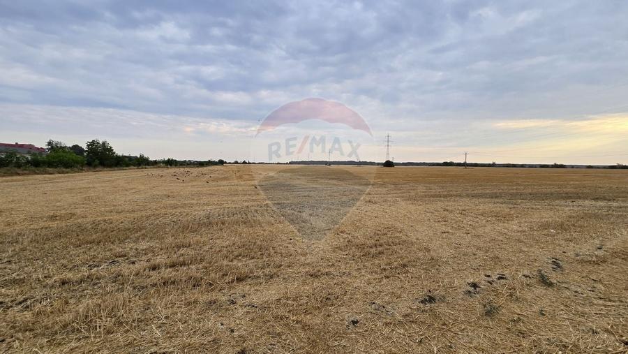 Teren intravilan Buftea, soseaua Tamasi - 5