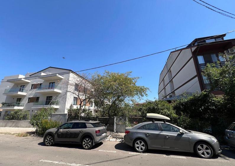 Teren str Renasterii Chitila - 2