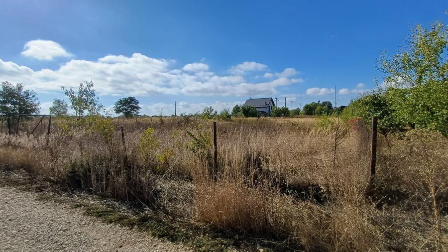 Teren Izvorani -Padure -COR - 8