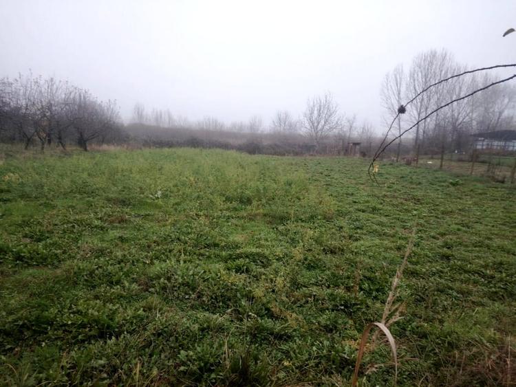 Proprietate multifunctionala cu potential rezidential si comercial - 7