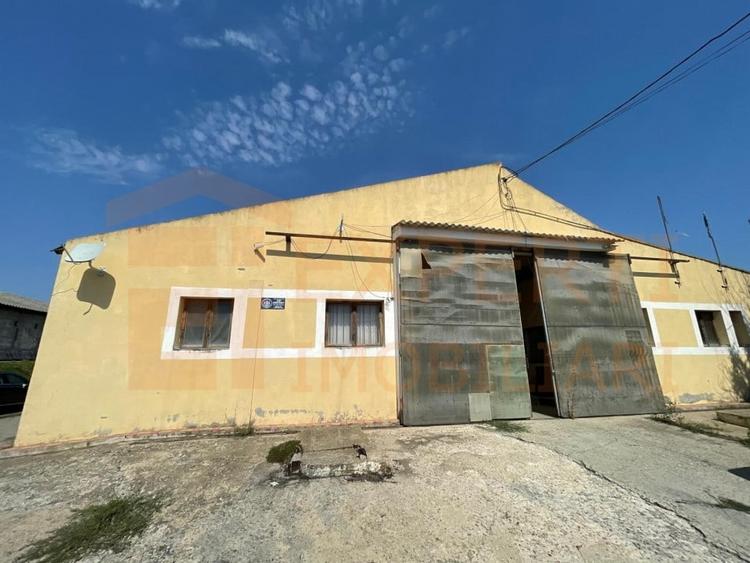 Hala situata in Ovidiu - 19