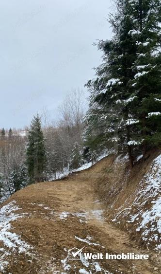 Teren de vanzare Marisel | Panorama & Intimitate - 6