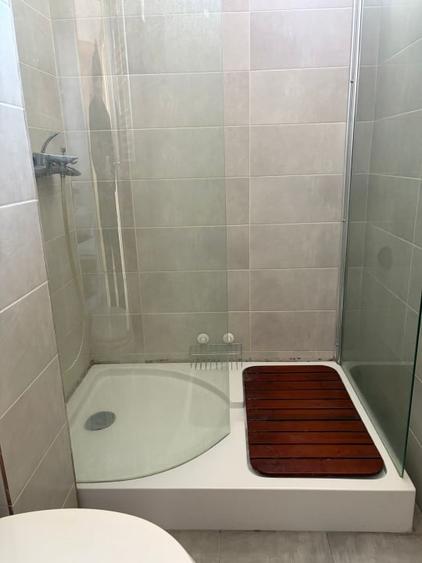 Apartament de 2 camere, 48 mp, pet friendly, centrala, balcon, Herastrau - 10