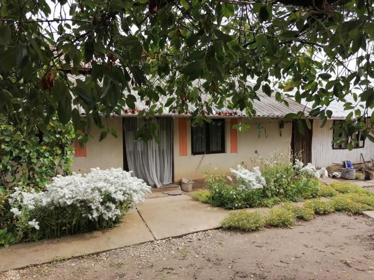 Casă de vanzare - 3