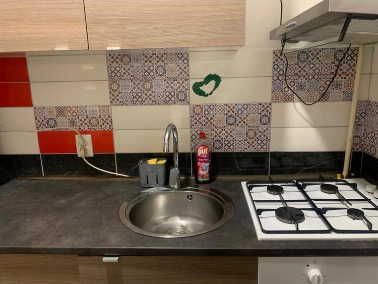 Garsoniera Grozavesti - 4