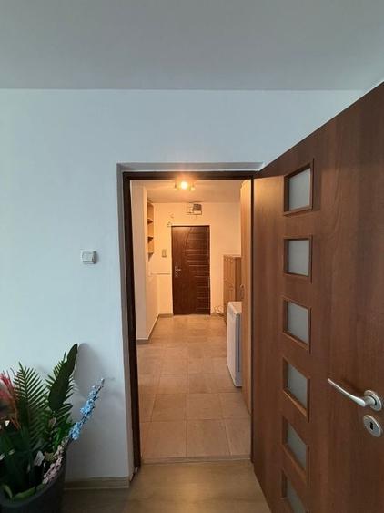 Inchiriere Apartament 3 camere Drumul Taberei - 17