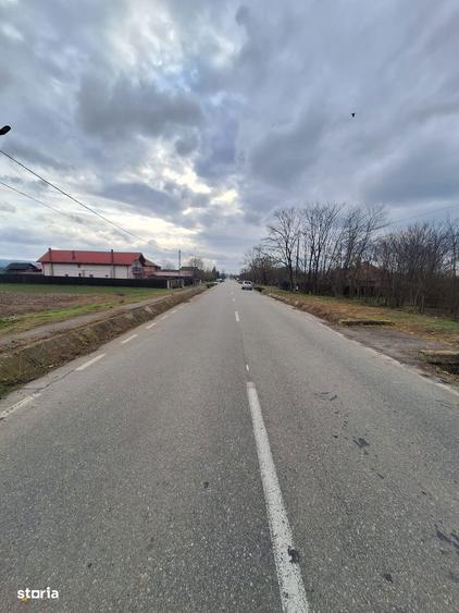 Teren str Balciului la strada ideal pt hale si casa - 5