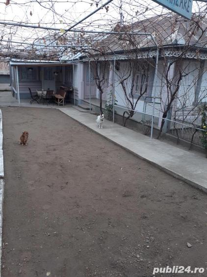 vand casa - 2
